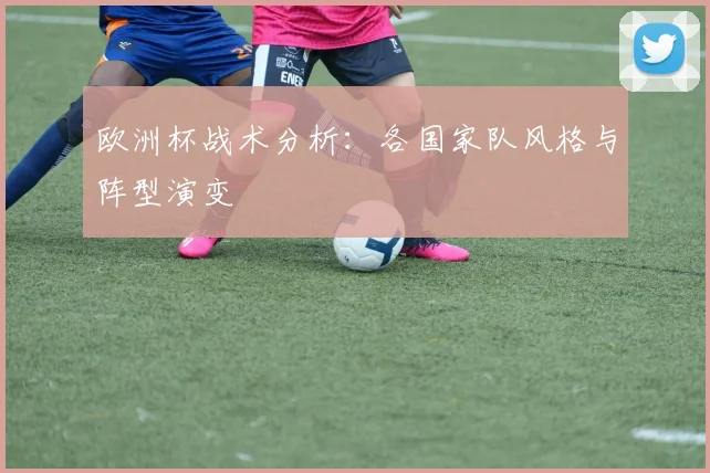 欧洲杯战术分析:各国家队风格与阵型演变
